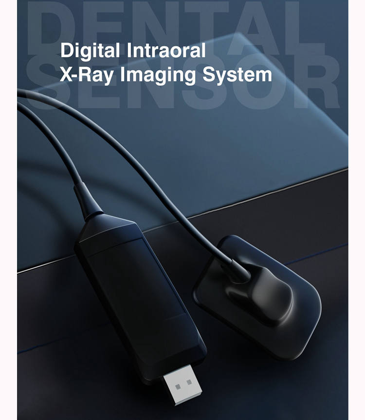 XR48 Intraoral Sensor 